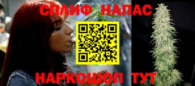альфа пвп Брянск