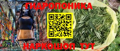 амф Боровичи