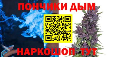 амф Боровичи